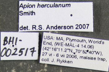 Media type: image;   Entomology 613530 Aspect: labels
